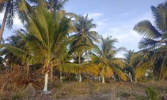 Imagem 6: Sítio Chácara com venda com preço sob consulta