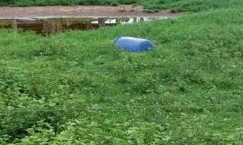 Imagem 3: Fazenda a venda em Britânia - Goiás