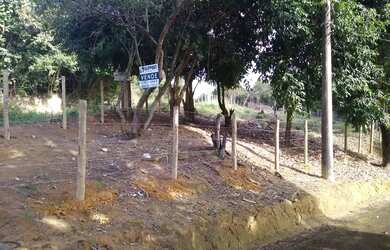 Imagem 5: Lote / terreno com 770 m² à venda no Lameirão - Guarapari ES