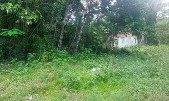 Imagem: Dois Lotes de terras a 2 km da Praia do