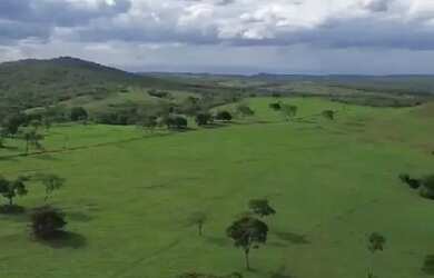 Imagem 2: Fazenda a venda, em Novo Aurora Goias!