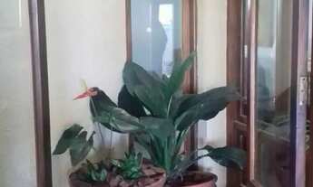 Imagem 6: Casa em Rua Dona Luíza Landell de Moura - Espírito Santo - Porto Alegre/RS