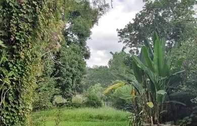 Imagem 3: Casa especial terreno maravilhoso