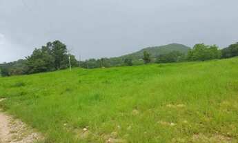 Imagem 5: Chacarra 13 alqueires 25 km da cidade de goias troco por casas em goiânia