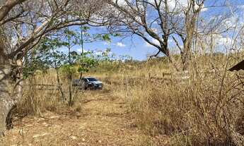 Imagem 3: Chácara 13 e-ctare