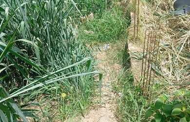 Imagem 7: 2 casas Casa com 2 dormitórios