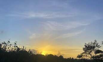 Imagem: Chácara para Alugar em Boca da Mata/AL