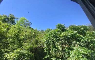 Imagem 5: Apto Centro, amplo, fino trato, Rua Paulo Barbosa, excelente preço - Petrópolis - RJ