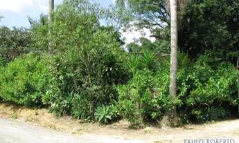 Imagem 6: AREA - LARANJA AZEDA - SP