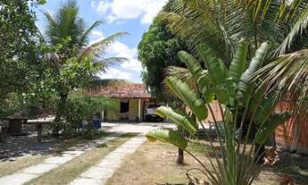 Imagem 5: Vende-se chácara no povoado pirunga /capela