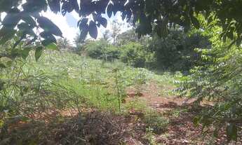 Imagem: Chácara em Bonfinópolis