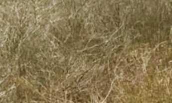 Imagem 2: Terreno próximo ao loteamento de neno do gado