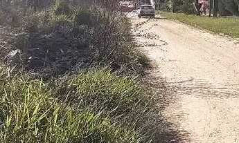 Imagem 6: Lote em Luiza Alfredo - Vista Alegre - São Pedro/SP