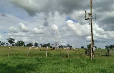 Imagem 3: Fazenda à venda no Município de Itarumã!