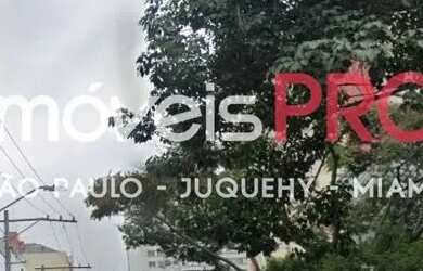 Imagem 4: Galpão, Campos Elíseos - São Paulo