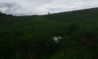 Imagem 4: Fazenda(Colônia