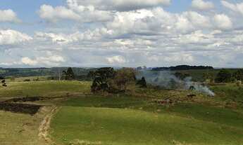 Imagem 7: Ótima fazenda para criação de gado