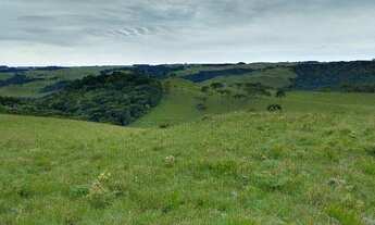 Imagem 5: Ótima fazenda para criação de gado