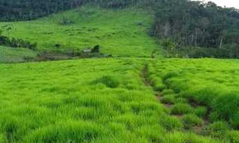 Imagem 6: Sitio em nova uniao