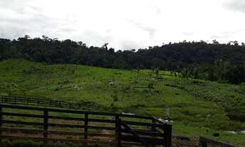 Imagem 7: Sitio em nova uniao