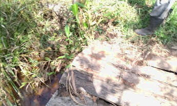 Imagem 3: Terreno com 3 hectares cod 11