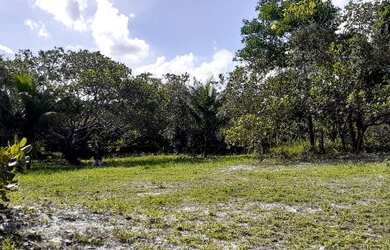 Imagem 2: Terreno próximo a Barragem Santa Helena (Dias D'Ávila