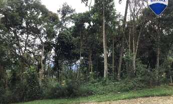 Imagem 4: Terreno à venda, 2100 m² por R$ 350.000,00 - Nova Califórnia - Juiz de Fora/MG