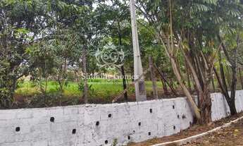 Imagem 6: 1.000 m², excelente topografia, pomar e bela vista !!