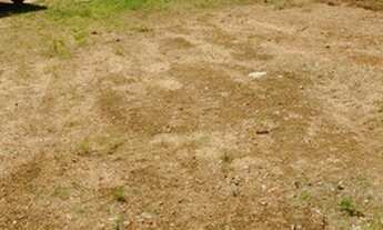 Imagem 1: 2.100 m², 02 quartos, loteamento fechado, com portaria e Internet !!