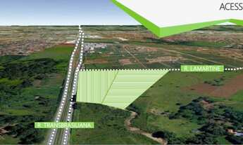 Imagem 2: Na sua perspectiva, tudo vira sucesso