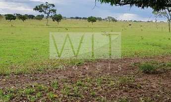 Imagem 6: Fazenda - Rural - Inocência