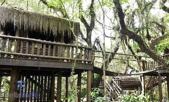 Imagem 4: Apartamento à venda 04 Quartos 131m² e 02 garagens, Bairro Ecoville, Curitiba/PR