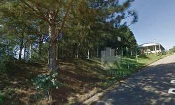 Imagem 4: Área à venda, 19857 m² por R$ 1.450.000,00 - Jardim São Vicente - Campo Largo/PR