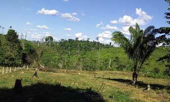 Imagem: Terra de 30 alqueires toda aberta! 65 km