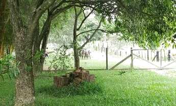 Imagem 4: Chácara com 7 hectares em Glórinha