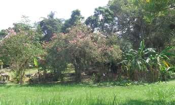 Imagem 7: Fazenda/Sítio/Chácara para venda com 109000 metros quadrados em Ratones - Florianópolis