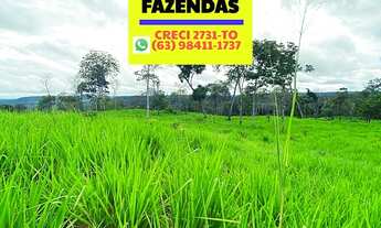 Imagem 4: Fazenda 147 alqueires (712 hectares). Município Wanderlândia Tocantins