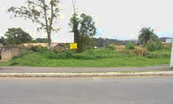 Imagem: Terreno para Venda em Quatro Barras, Jardim