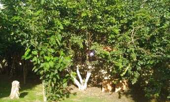 Imagem 7: Chácara com 4 dormitórios à venda, 2000 m² por R$ 380.000,00 - Santa Ella - Araçariguama/S