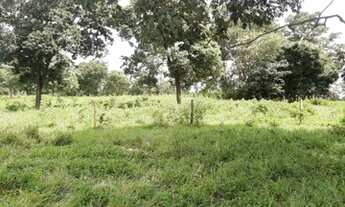 Imagem 2: ALAMBIQUE !!! AGRICULTURA E PECUÁRIA!!!12 DIVISORIAS DE PASTAGEM!!!!