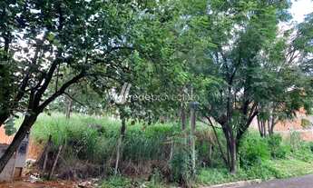 Imagem 2: Campinas - Terreno Padrao - Bairro das Palmeiras