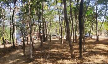 Imagem 4: Sitio de 32 hectares no Município de Arinos-MG