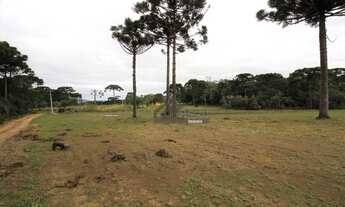 Imagem 6: Área à venda, 252000 m² por R$ 30.240.000,00 - Campo Largo da Roseira - São José dos Pinha