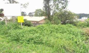 Imagem 7: Terreno para Venda em Quatro Barras, Jardim Orestes Thá