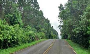 Imagem: Dois Irmãos - RESIDENCIAL - Picada dos