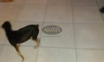 Imagem 7: Casa à venda no bairro Cidade Nova - Ananindeua/PA