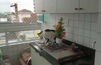 Imagem 4: Apartamento com 2 dormitórios à venda, 61 m² por R$ 330.000 - Caiçara - Praia Grande/SP