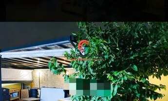 Imagem 2: Sobrado para venda de 04 dormitórios - Bairro Olímpico