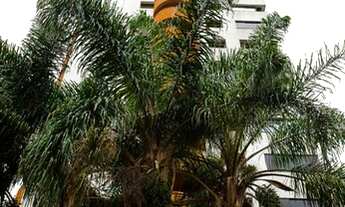 Imagem 7: 2 Dormitórios Brooklin, reformado