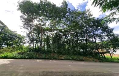 Imagem 2: Vendo Lote no Residencial Bosque Palmas